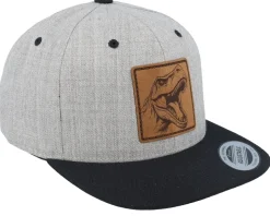 Kids Dinosaur T-rex Heather Grey/Black Snapback - Kiddo Cap