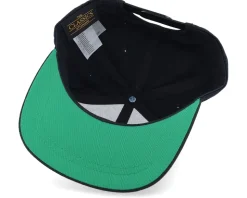 Kids Dog Formula 1 Black Toddler Snapback - Kiddo Cap