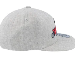 Kids Dog Formula 1 Kids Heather Grey Snapback - Kiddo Cap