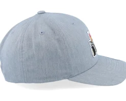 Kids Dog Hot Rod Kids Grey Adjustable - Kiddo Cap