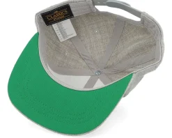 Kids Dog With Dino Costume Heather Grey Snapback - Kiddo Cap