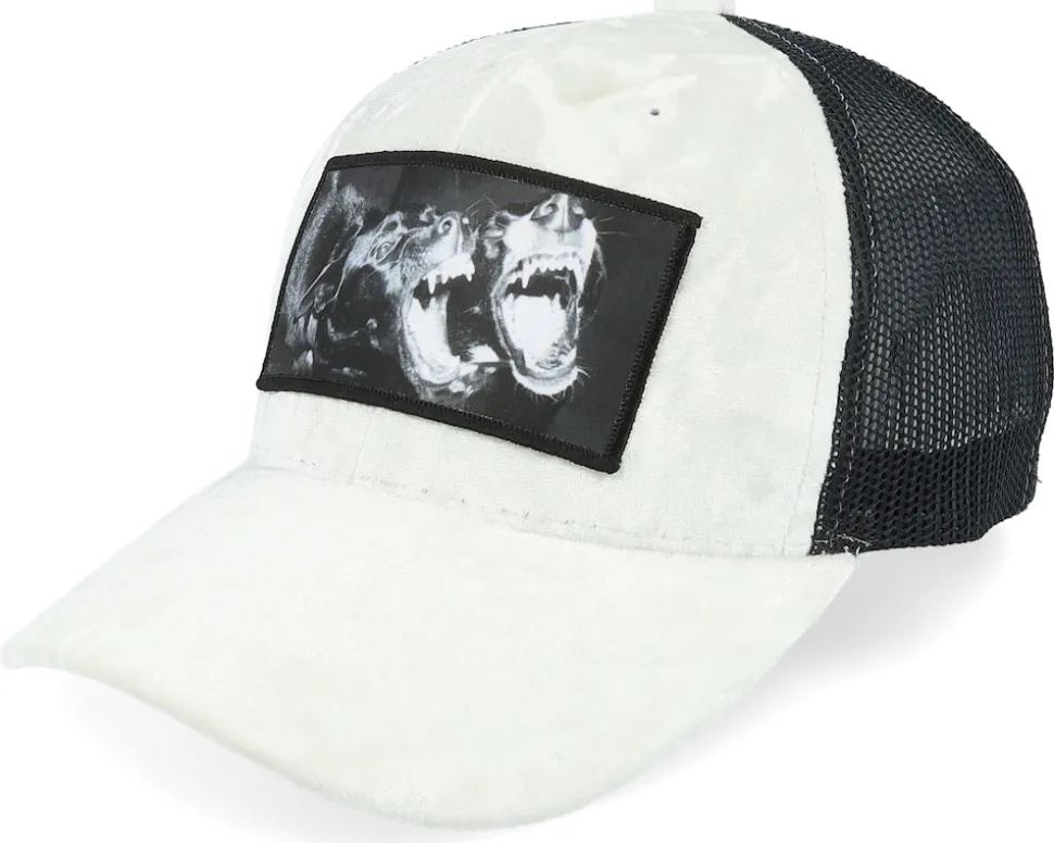 Kids Dogs Velvet Black Trucker - Calza Pennello