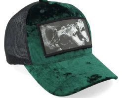 Kids Dogs Velvet Green/Black Trucker - Calza Pennello
