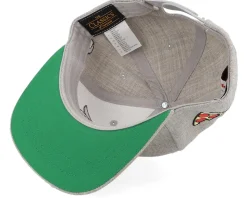 Kids Donatello Face Grey Snapback - TMNT