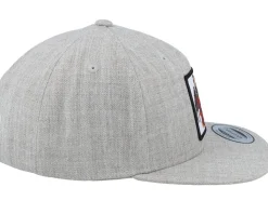 Kids Dragon & Teddy Grey Snapback - Kiddo Cap
