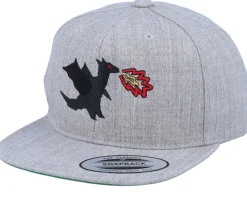 Kids Dragonfire Grey Snapback - Kiddo Cap