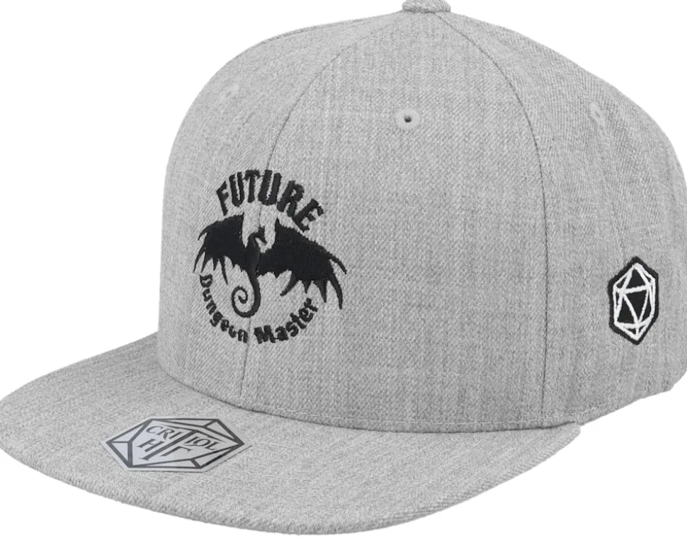 Kids Future Dungeon Master Grey Snapback - Critiql Hit