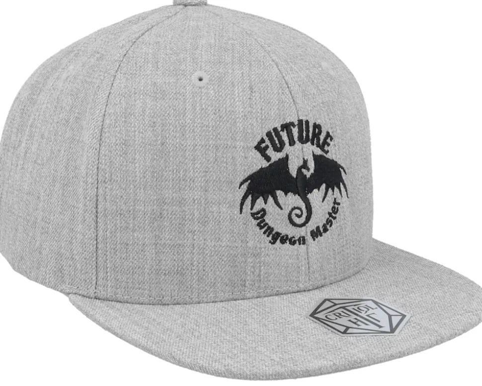 Kids Future Dungeon Master Grey Snapback - Critiql Hit