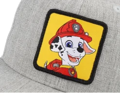 Kids Marshall Patch Heather Grey Snapback - PAW Patrol