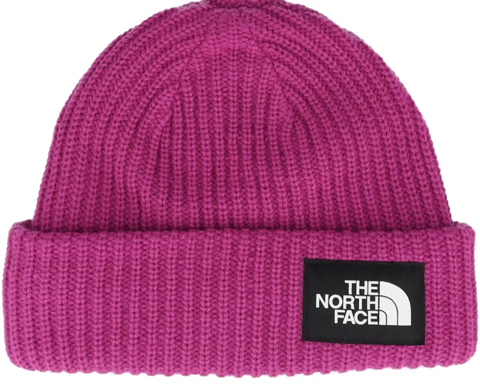 Kids Salty Lined Beanie Purple Cuff - The North Face