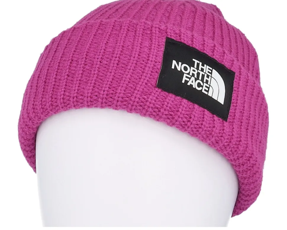 Kids Salty Lined Beanie Purple Cuff - The North Face