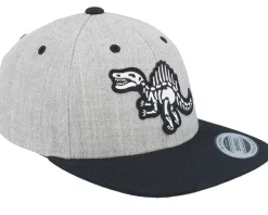 Kids Spinosaurus Skeleton Heather Grey/Black Snapback - Kiddo Cap
