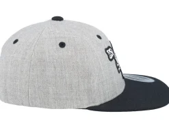 Kids Spinosaurus Skeleton Heather Grey/Black Snapback - Kiddo Cap