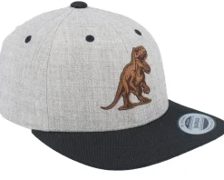 Kids T-rex Dino Brown Patch Heather Grey/Black Snapback - Kiddo Cap