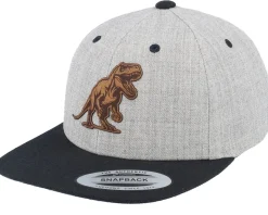 Kids T-rex Dino Brown Patch Heather Grey/Black Snapback - Kiddo Cap