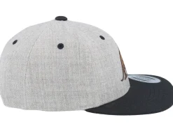 Kids T-rex Dino Brown Patch Heather Grey/Black Snapback - Kiddo Cap