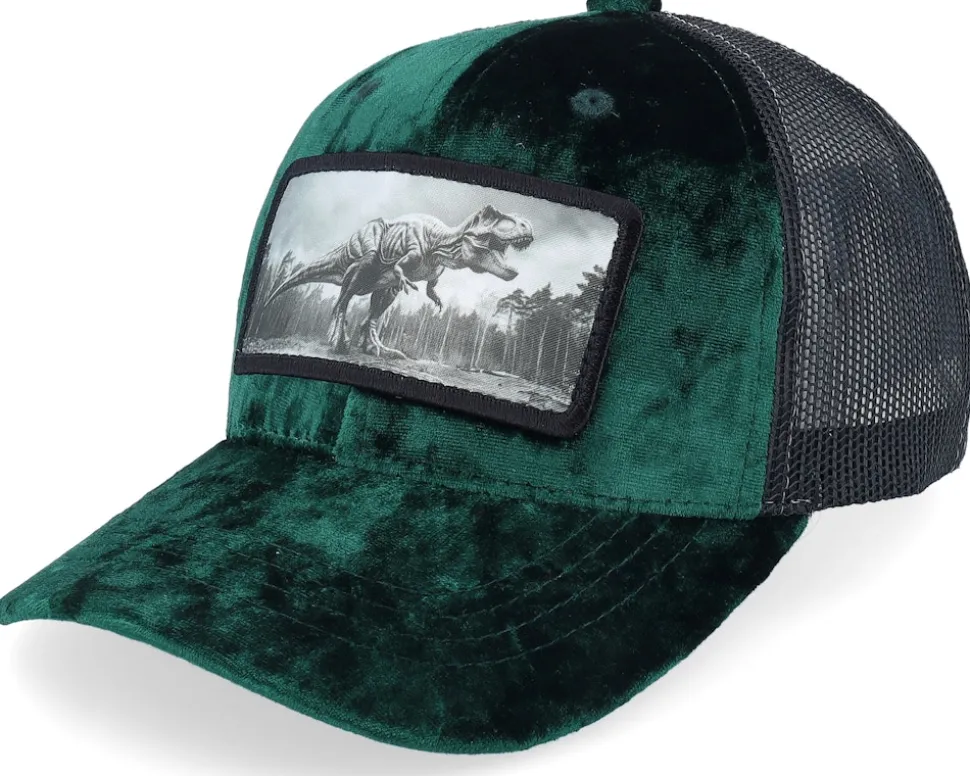 Kids T-rex Dino Patch Velvet Black Trucker - Calza Pennello