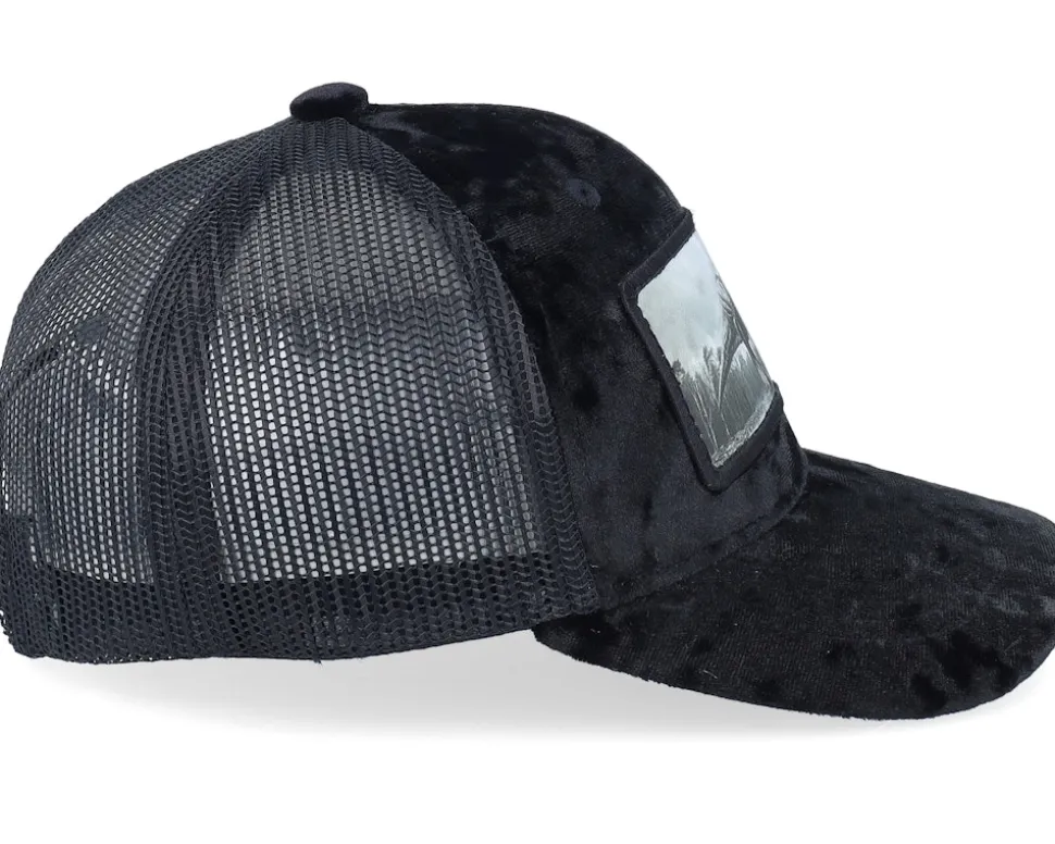 Kids T-rex Dino Patch Velvet Black Trucker - Calza Pennello