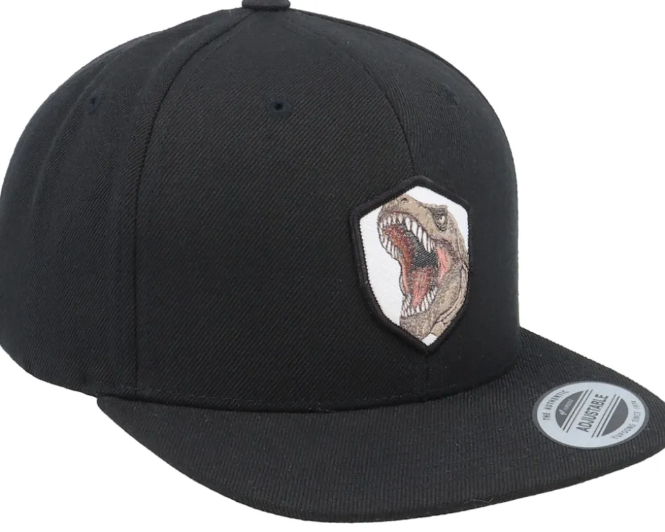 Kids T-rex Dino Wooven Patch Black Snapback - Kiddo Cap