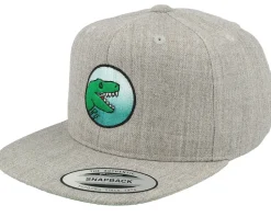 Kids T-Rex Park Gradient Heather Grey Snapback - Kiddo Cap