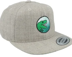 Kids T-Rex Park Gradient Heather Grey Snapback - Kiddo Cap