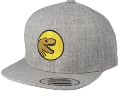 Kids T-Rex Park Grey Snapback - Kiddo Cap