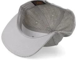 Kids T-Rex Park Grey Snapback - Kiddo Cap