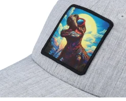 Kids T-rex With Sun Glasses Heather Grey/Black - Kiddo Cap