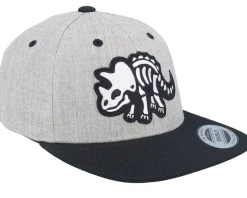 Kids Triceratops Skeleton Heather Grey/Black Snapback - Kiddo Cap