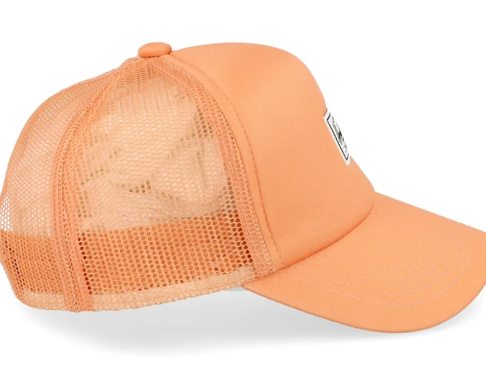 Kids Whaler Mesh Toddler 1-2 Years Canyon Sunset Trucker - Herschel