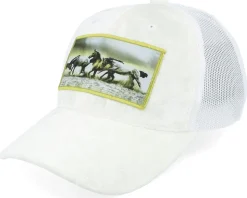 Kids Wild Horses Velvet Black Trucker - Calza Pennello