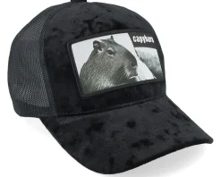 Kids Youth Capybara Sofa Velvet Black Trucker - Iconic