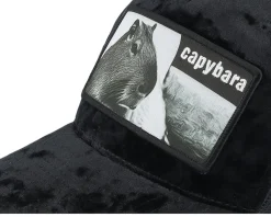 Kids Youth Capybara Sofa Velvet Black Trucker - Iconic