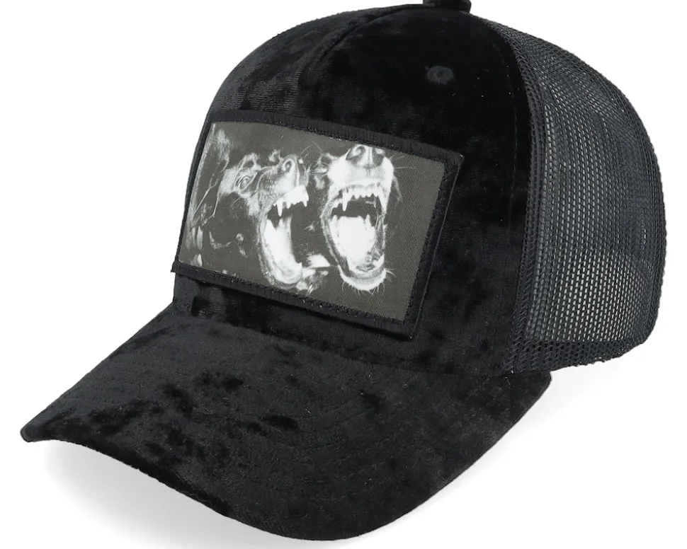 Kids Youth Dogs Velvet Black Trucker - Calza Pennello