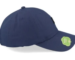 Level Up Midnight Dad Cap - Fox