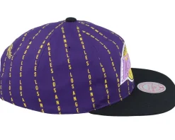 Los Angeles Lakers City Pinstripe Deadstock Purple Snapback - Mitchell & Ness