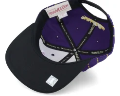 Los Angeles Lakers City Pinstripe Deadstock Purple Snapback - Mitchell & Ness