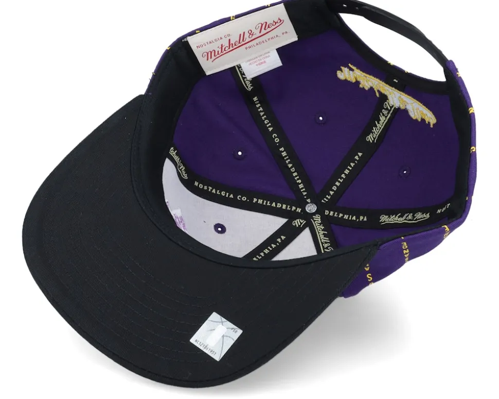 Los Angeles Lakers City Pinstripe Deadstock Purple Snapback - Mitchell & Ness