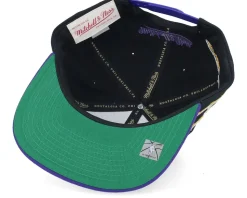 Los Angeles Lakers Life Line Black/Purple Snapback - Mitchell & Ness
