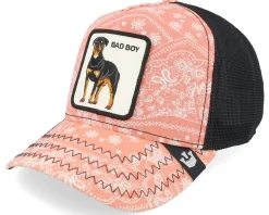 Lovesexy Paisley Pink/Black A-Frame Trucker - Goorin Bros.