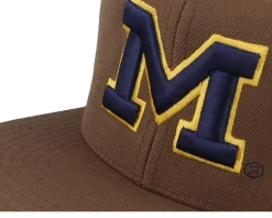 Michigan Wolverines 3d Logo Tan Snapback - Park Fields