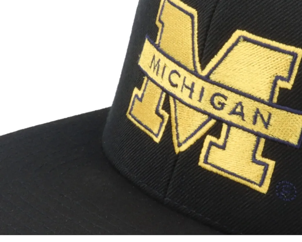 Michigan Wolverines Logo Black Snapback - Park Fields