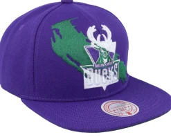 Milwaukee Bucks Paint By Number Hwc Purple Snapback - Mitchell & Ness