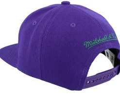 Milwaukee Bucks Paint By Number Hwc Purple Snapback - Mitchell & Ness