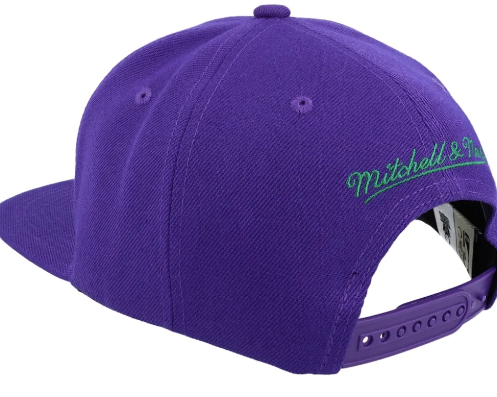 Milwaukee Bucks Paint By Number Hwc Purple Snapback - Mitchell & Ness