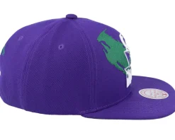 Milwaukee Bucks Paint By Number Hwc Purple Snapback - Mitchell & Ness