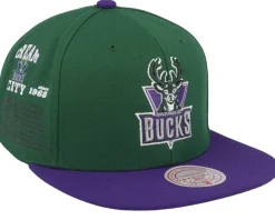 Milwaukee Bucks Team Origins Green/Purple Snapback - Mitchell & Ness