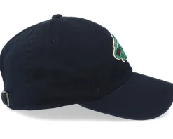 Minnesota Wild Blue Line Black Dad Cap - American Needle