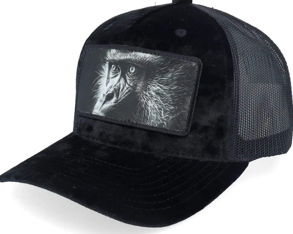 Monkey Big Patch Velvet Black Trucker - Calza Pennello