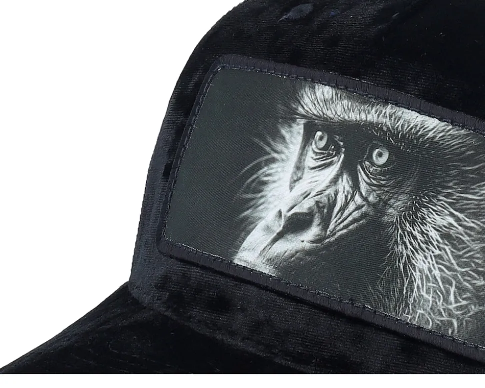 Monkey Big Patch Velvet Black Trucker - Calza Pennello